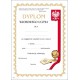 78 dyplom wzorowego ucznia