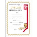 78 dyplom wzorowego ucznia