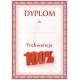 750 dyplom 100% frekwencji