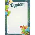 D105 dyplom szkolny