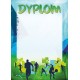 D101 dyplom sportowy