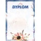 D114 dyplom kręgle bowling