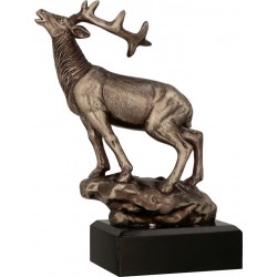 Myślistwo RFST3010/BR