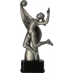 RFST3036/S siatkówka