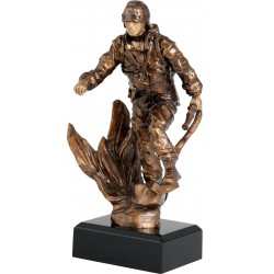 Strażactwo RTY3786/BR