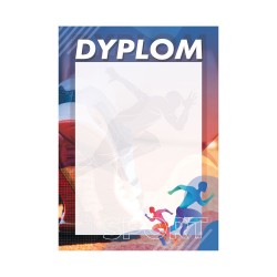 D137 dyplom biegi
