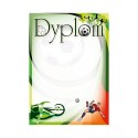 D143 dyplom piłka nożna