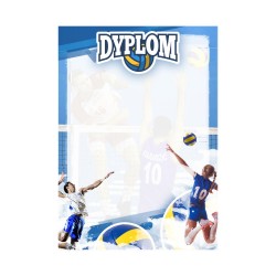 D151 dyplom siatkówka