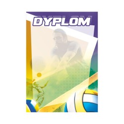 D152 dyplom siatkówka