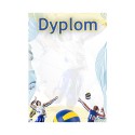 D153 dyplom siatkówka