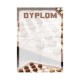 D175 dyplom warcaby