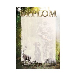 D163 dyplom myślistwo