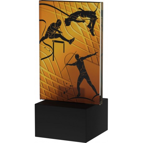 AG1-12/ATH lekkoatletyka