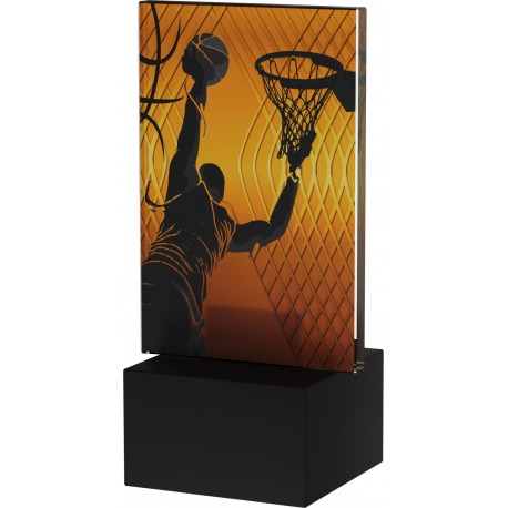 AG1-12/BAS koszykówka