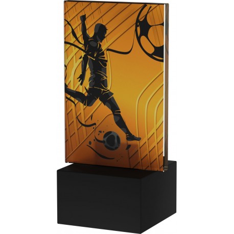 AG1-12/SOC1 piłka nożna