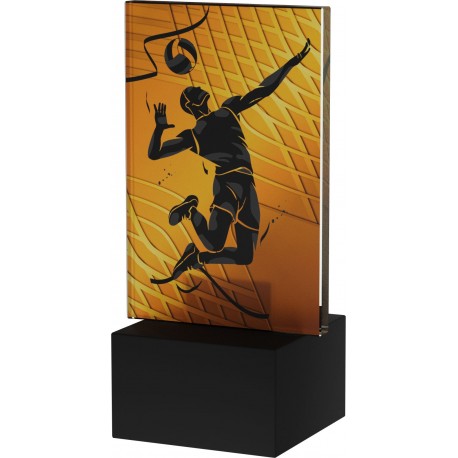 AG1-12/VOL siatkówka