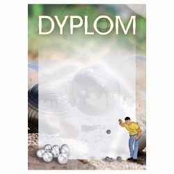 D150 dyplom koszykówka