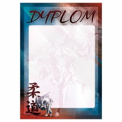 D155 dyplom PETANQUE