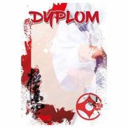 D156 dyplom Judo