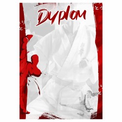 D158 dyplom Judo Karate