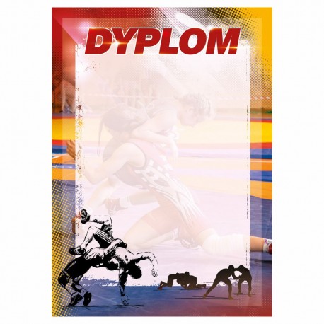D159 dyplom Zapasy