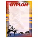 D159 dyplom Zapasy