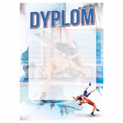 D160 dyplom zapasy