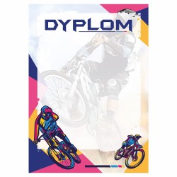D186 dyplom Rower MTB