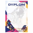 D186 dyplom Rower MTB