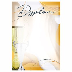 D198 dyplom sportowy