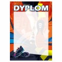 D202 dyplom Biegi