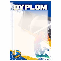D207 dyplom siatkówka