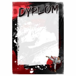 D208 dyplom Karate