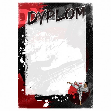 D208 dyplom Karate