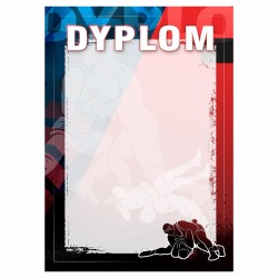 D209 dyplom Zapasy