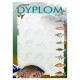 D215 dyplom wędkarski