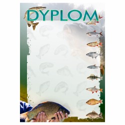 D215 dyplom wędkarski