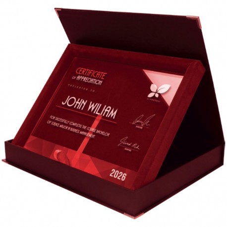 Dyplom szklany w etui DS154